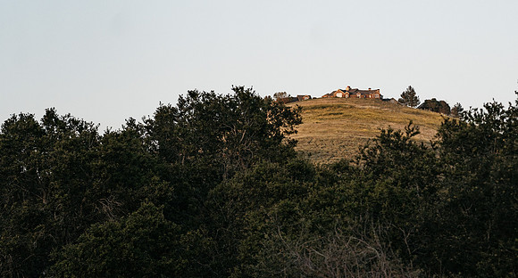 DSC08777
