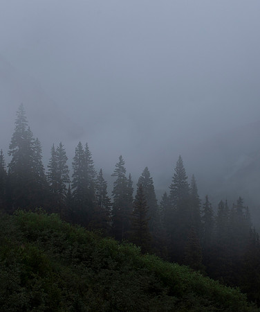 _MG_3621